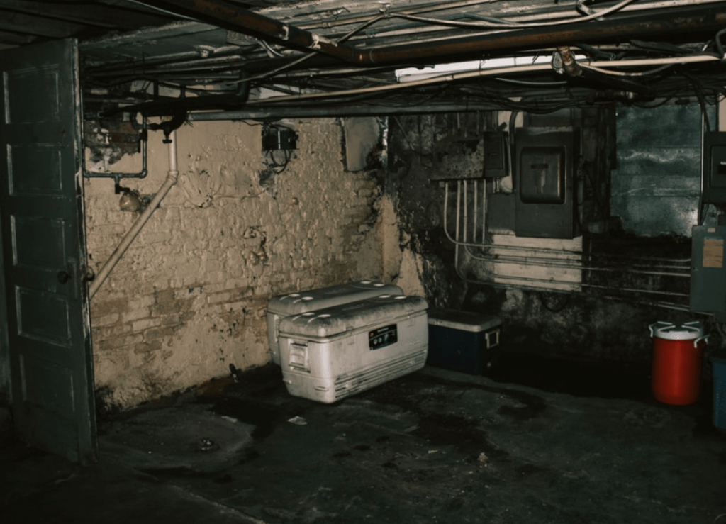 Do I Need a Dehumidifier in my Basement? - Basement with Mold