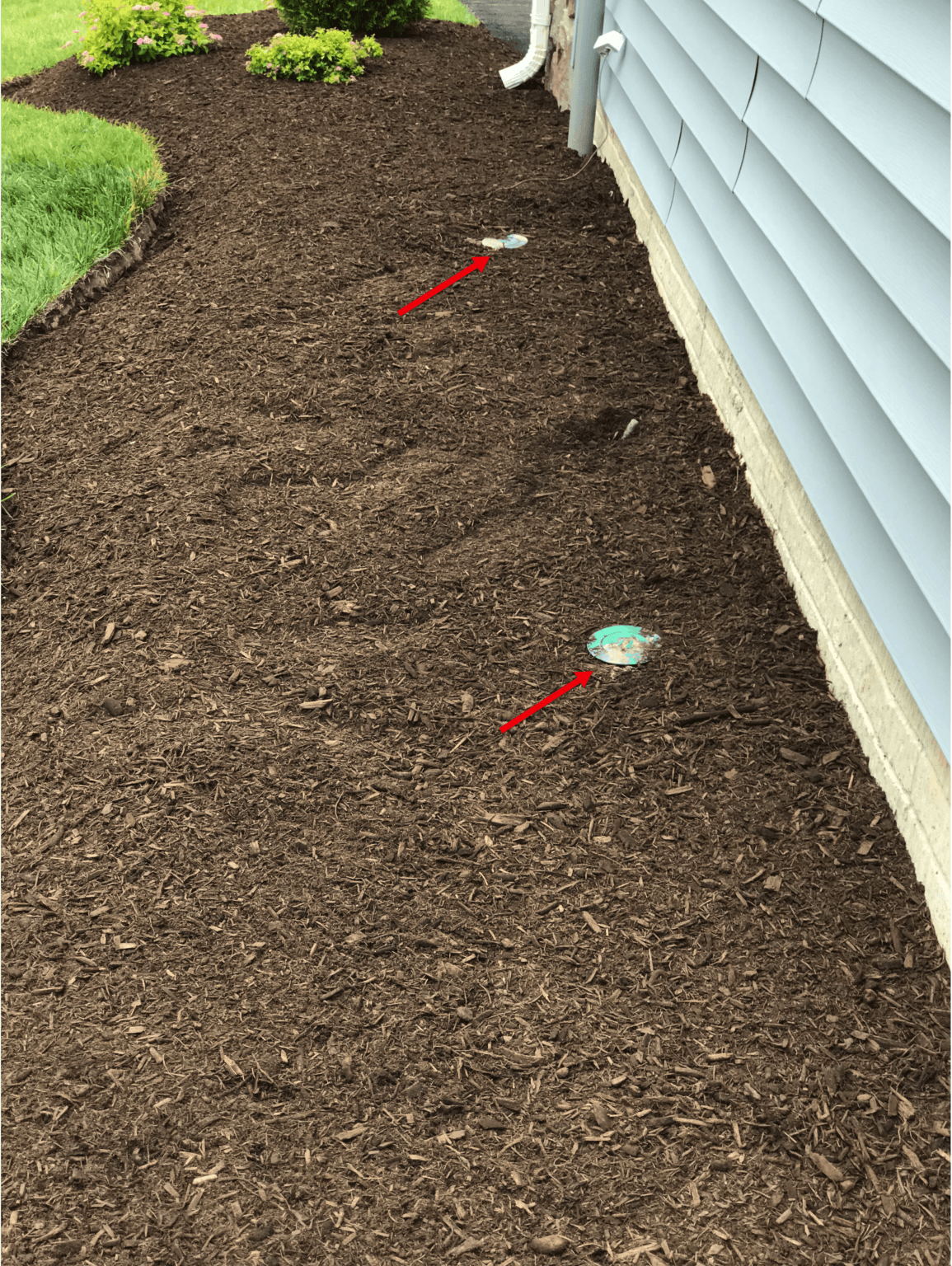 Are Termite Bait Stations Effective? (With costs, pros and cons)