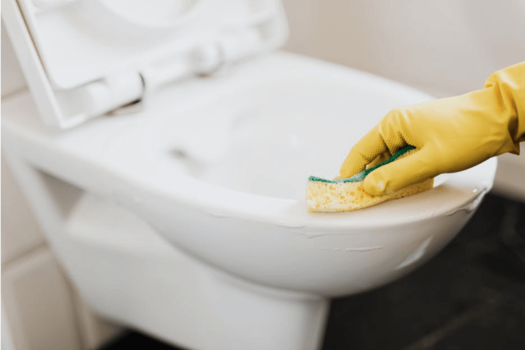 Can My Toilet Cleaner Damage the Septic System? (What Should I Use?)