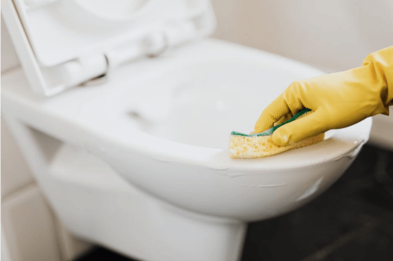 Can My Toilet Cleaner Damage the Septic System? - Cleaning the toilet