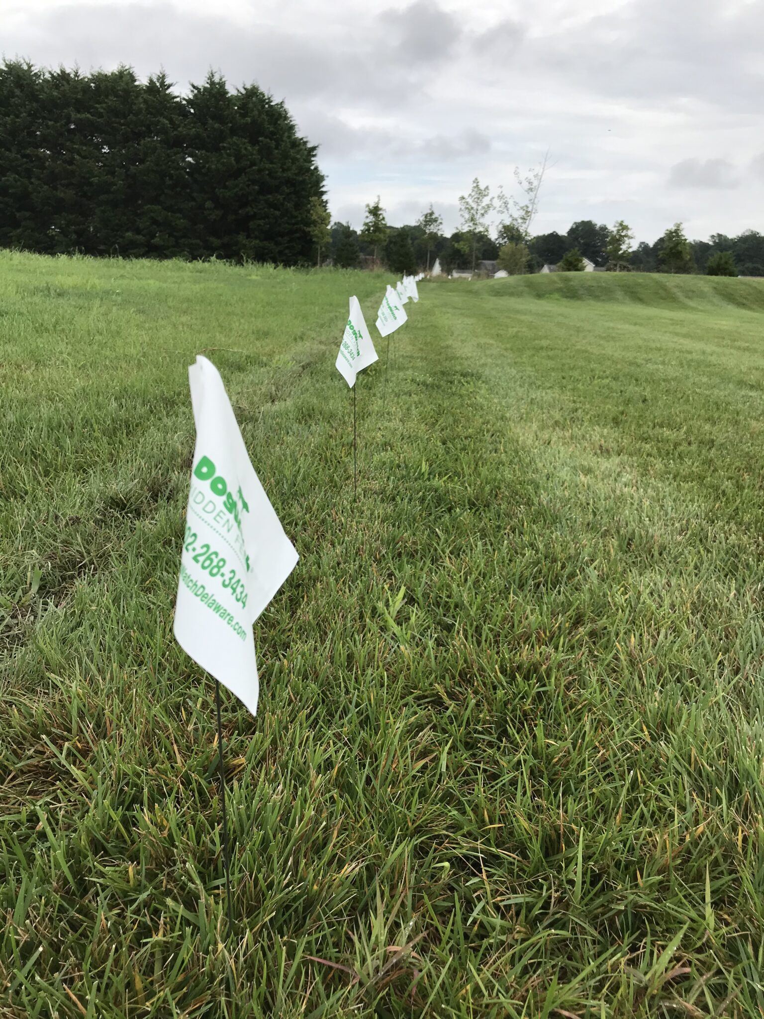 ivisible fence for dogs