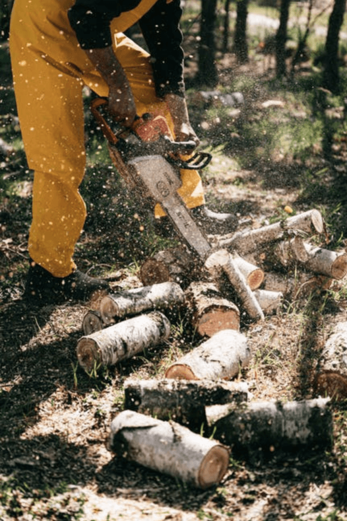 Green logs