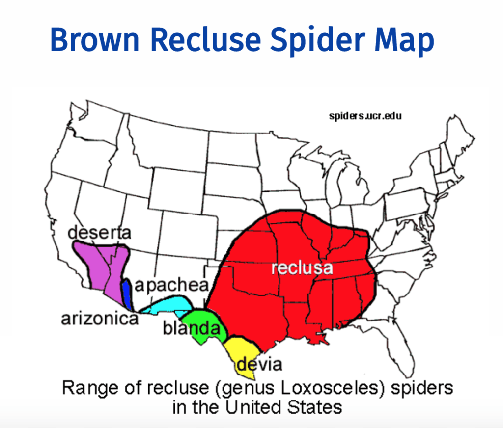 Brown Recluse spider map