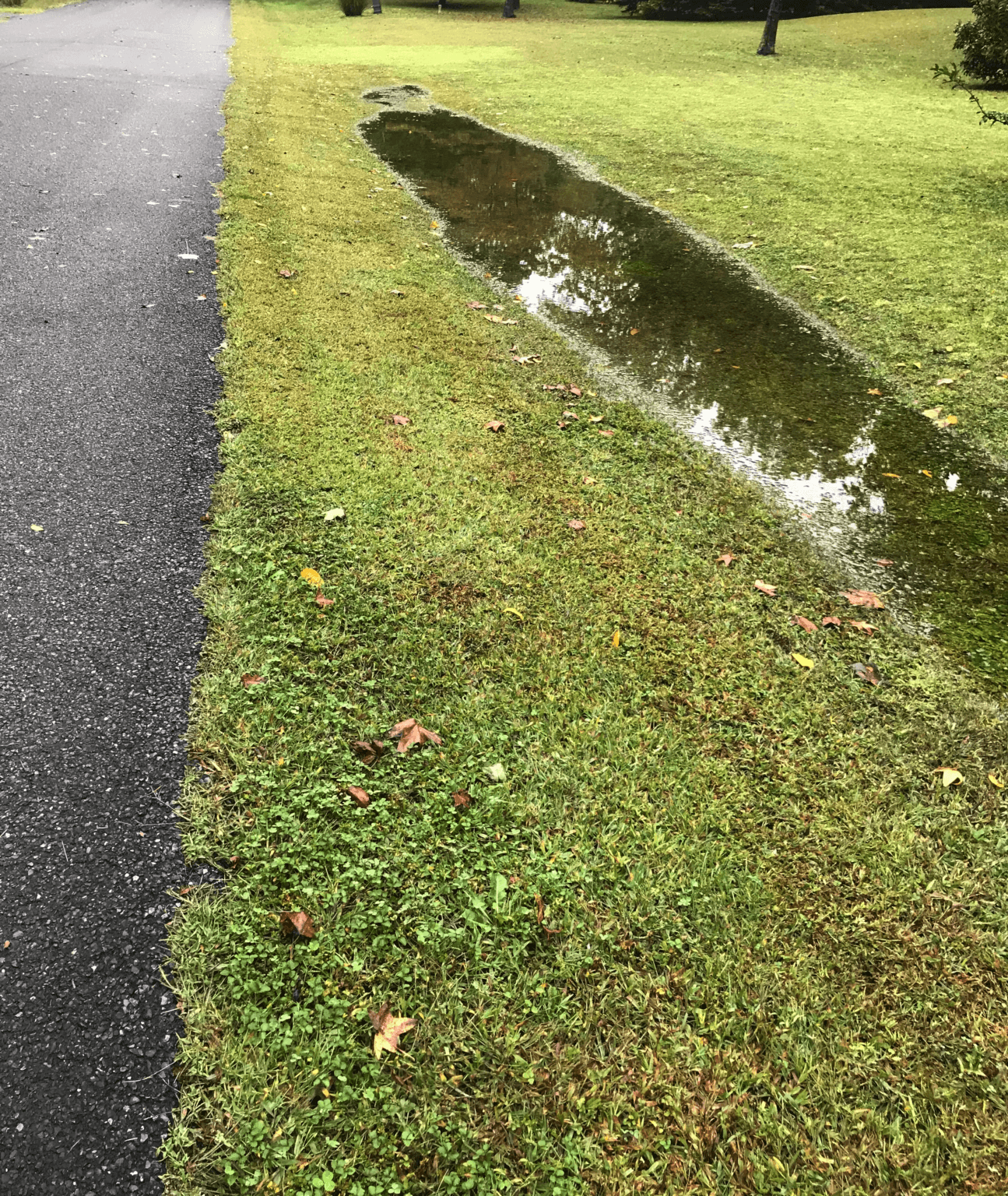 How Do You Fix Drainage Problems in Your Yard? (Methods that Work) - YarD Slope 1295x1536