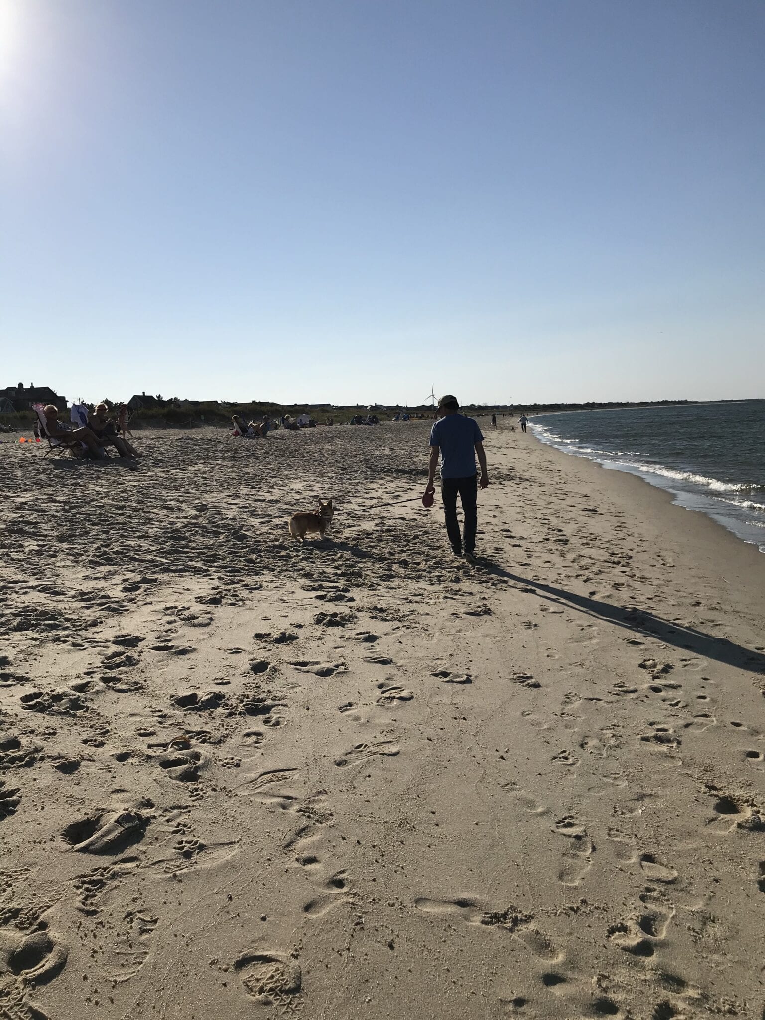 Dog Friendly Beaches In Rehoboth