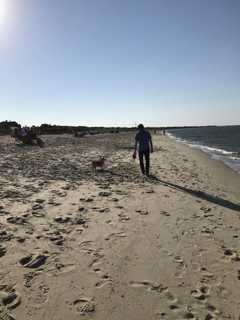Is Rehoboth Beach Dog Friendly? - Man walking dog