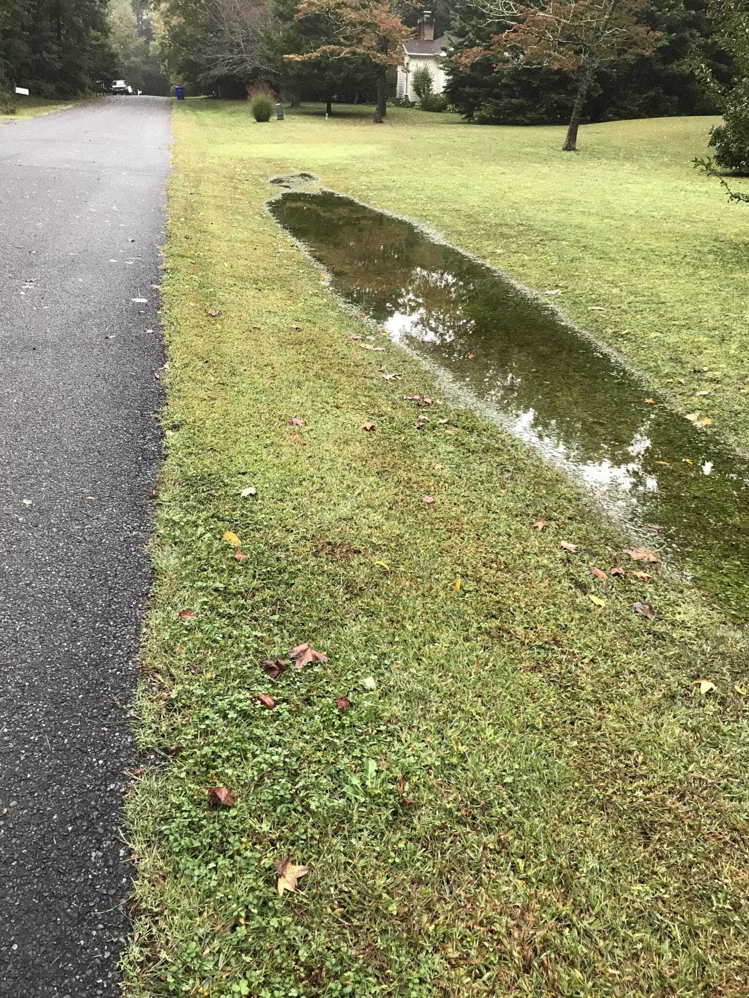 what-is-a-drainage-swale-and-does-it-really-work