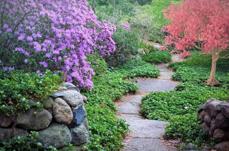 10 Things To Consider Before Building A Garden Path - Colorful Garden Path