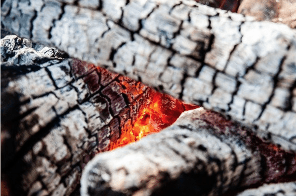 Is Firewood Ash Good for Your Garden? (Benefits and Dangers)