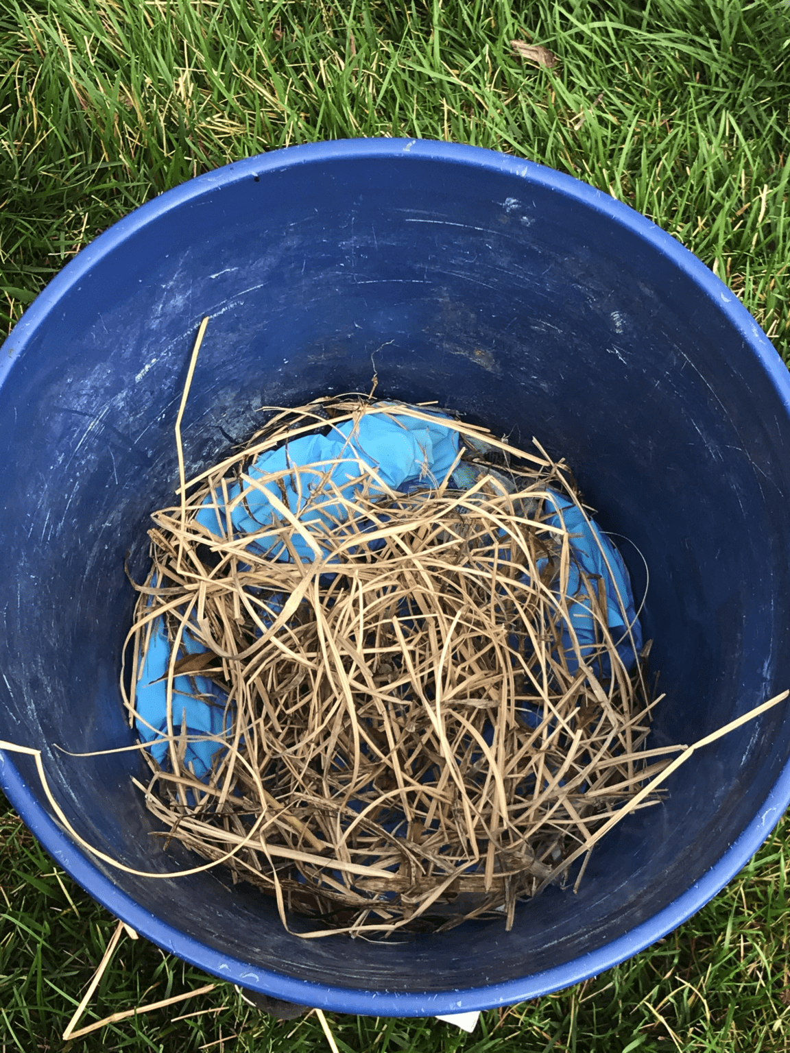 How Do I Get Rid of a Bird’s Nest in My Dryer Vent? (With My Experience)