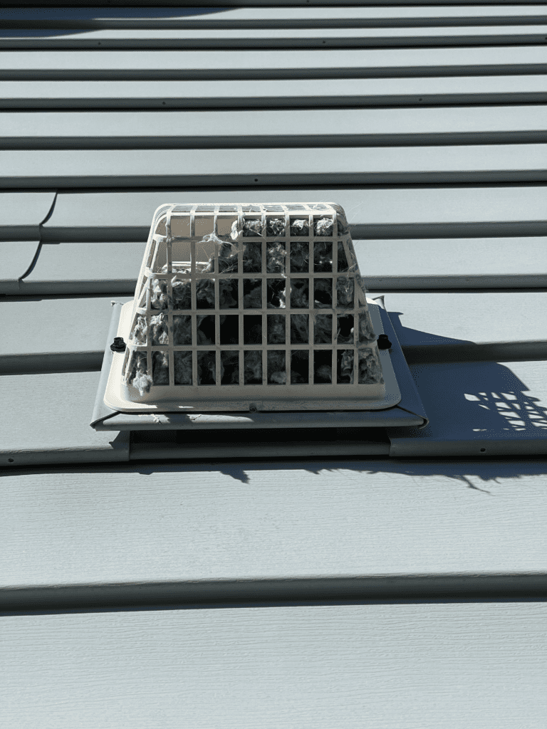 How Do I Get Rid of a Bird’s Nest in My Dryer Vent? (With My Experience)