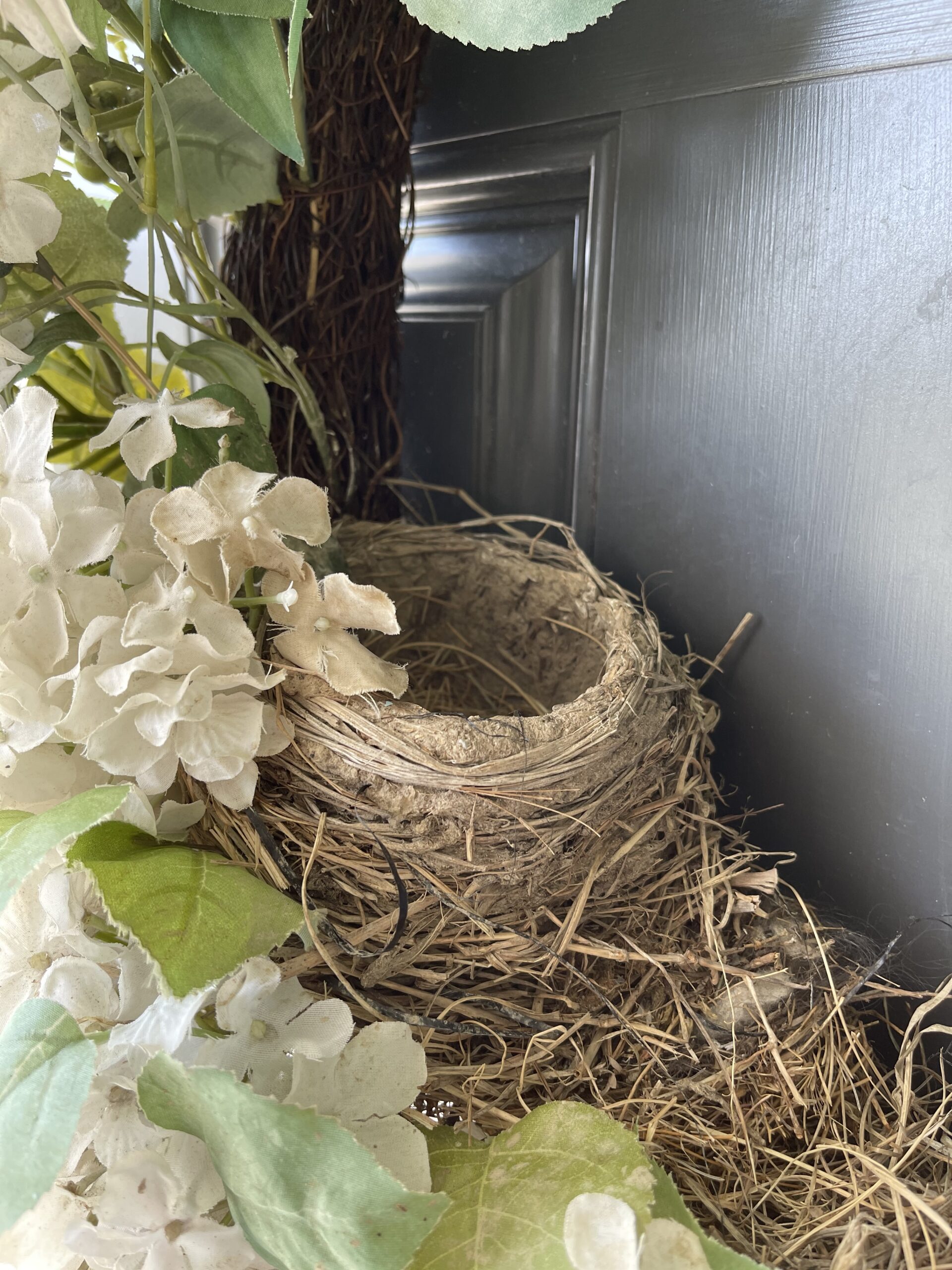 Do Robins Reuse Nests? (No, But May Repurpose Existing Nests)