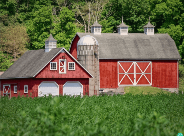 Why Are Barns Painted Red? (The Reason Might Surprise You)