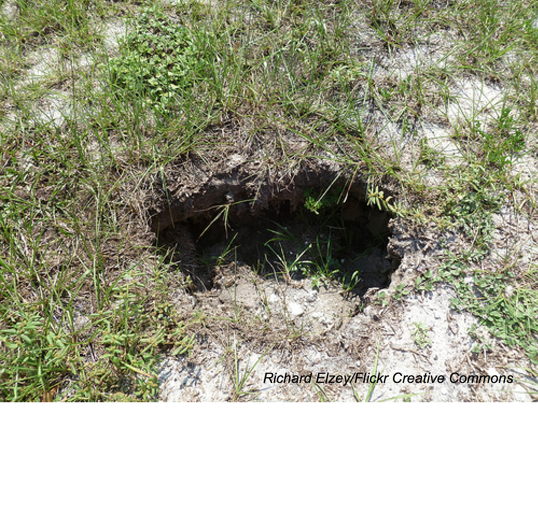 Can a Septic Tank Cause a Sinkhole? - Sinkhole on backyard