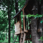 Are Tree Houses Illegal?
