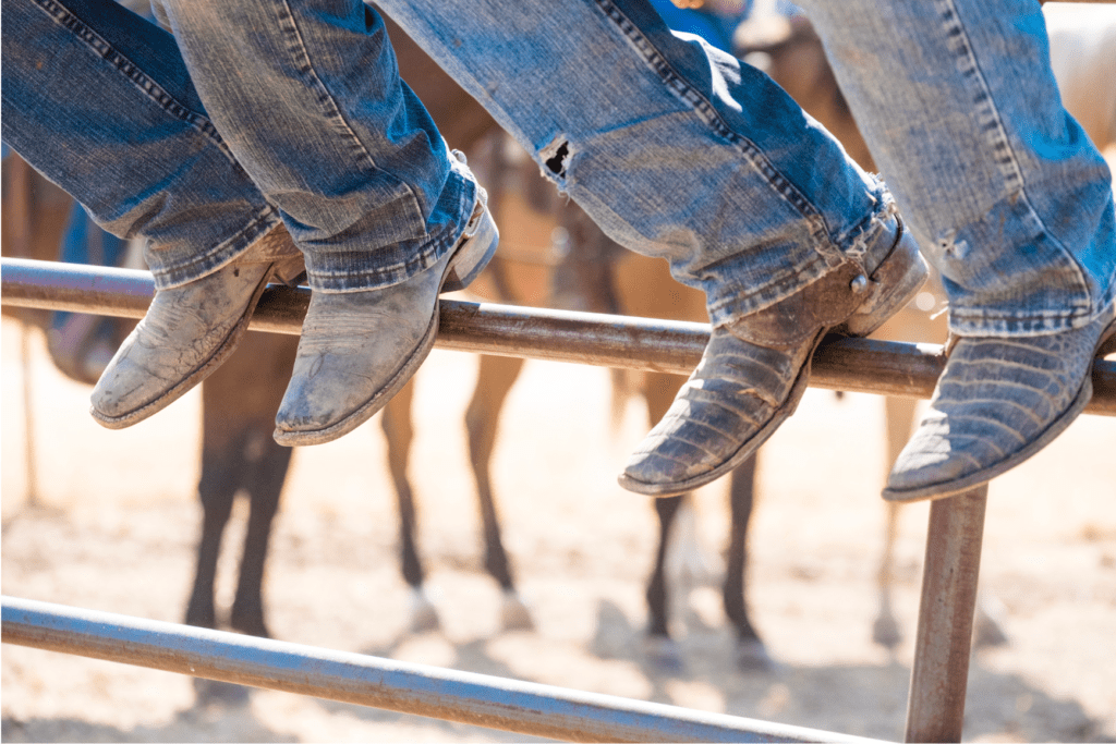 Fence lines responsibilities