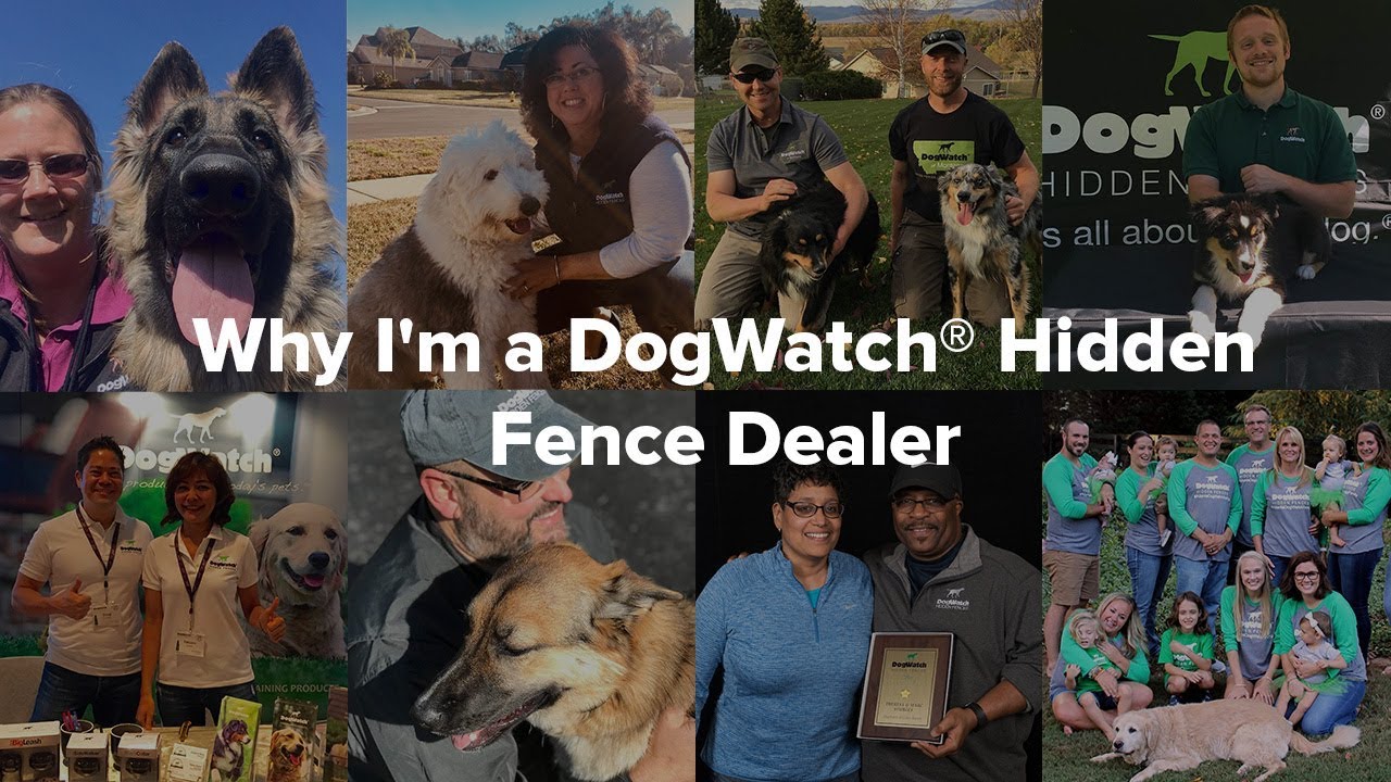 Pros and Cons of Invisible Electric Dog Fences (With My Own Experience)